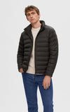 Selected «eco» Padded Quilted Jacket 16089395