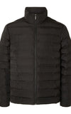 Selected «eco» Padded Quilted Jacket 16089395